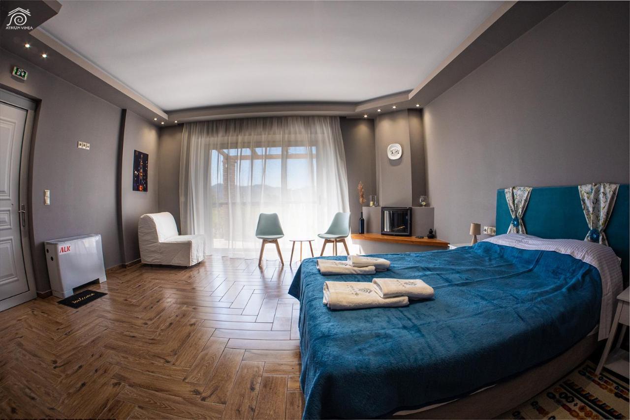Atrium Vinea Brintziki Winery Apartment Smila Exterior photo