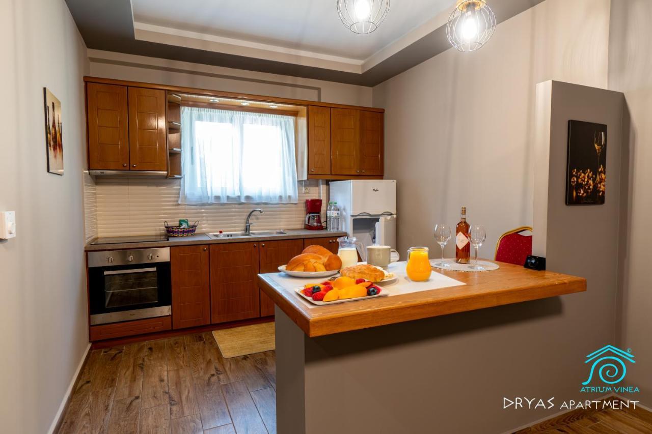 Atrium Vinea Brintziki Winery Apartment Smila Exterior photo