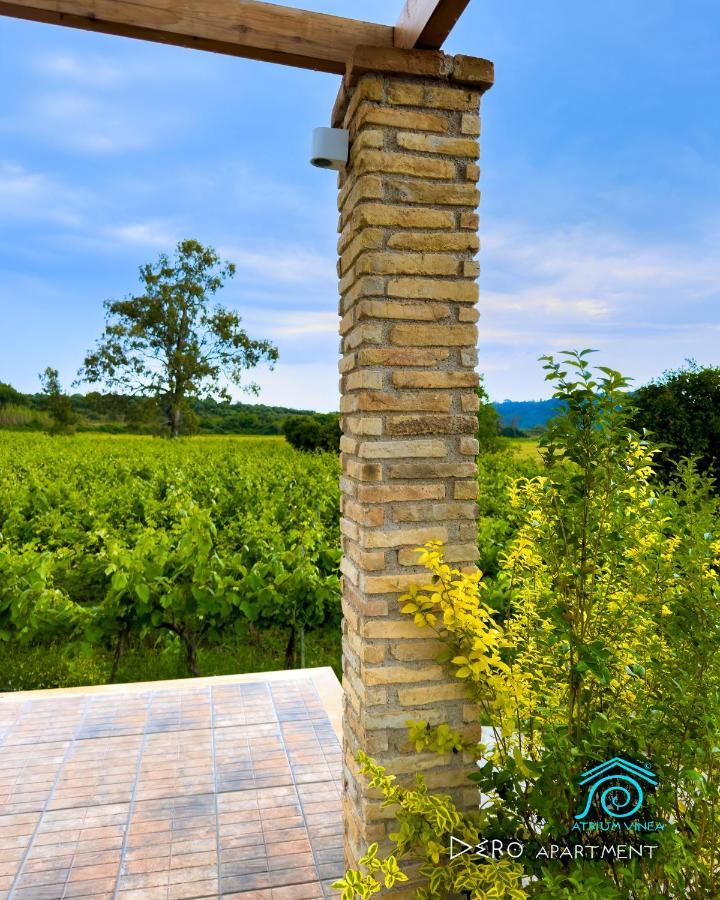 Atrium Vinea Brintziki Winery Apartment Smila Exterior photo